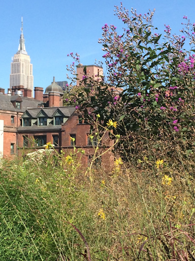 View of Empire State Building